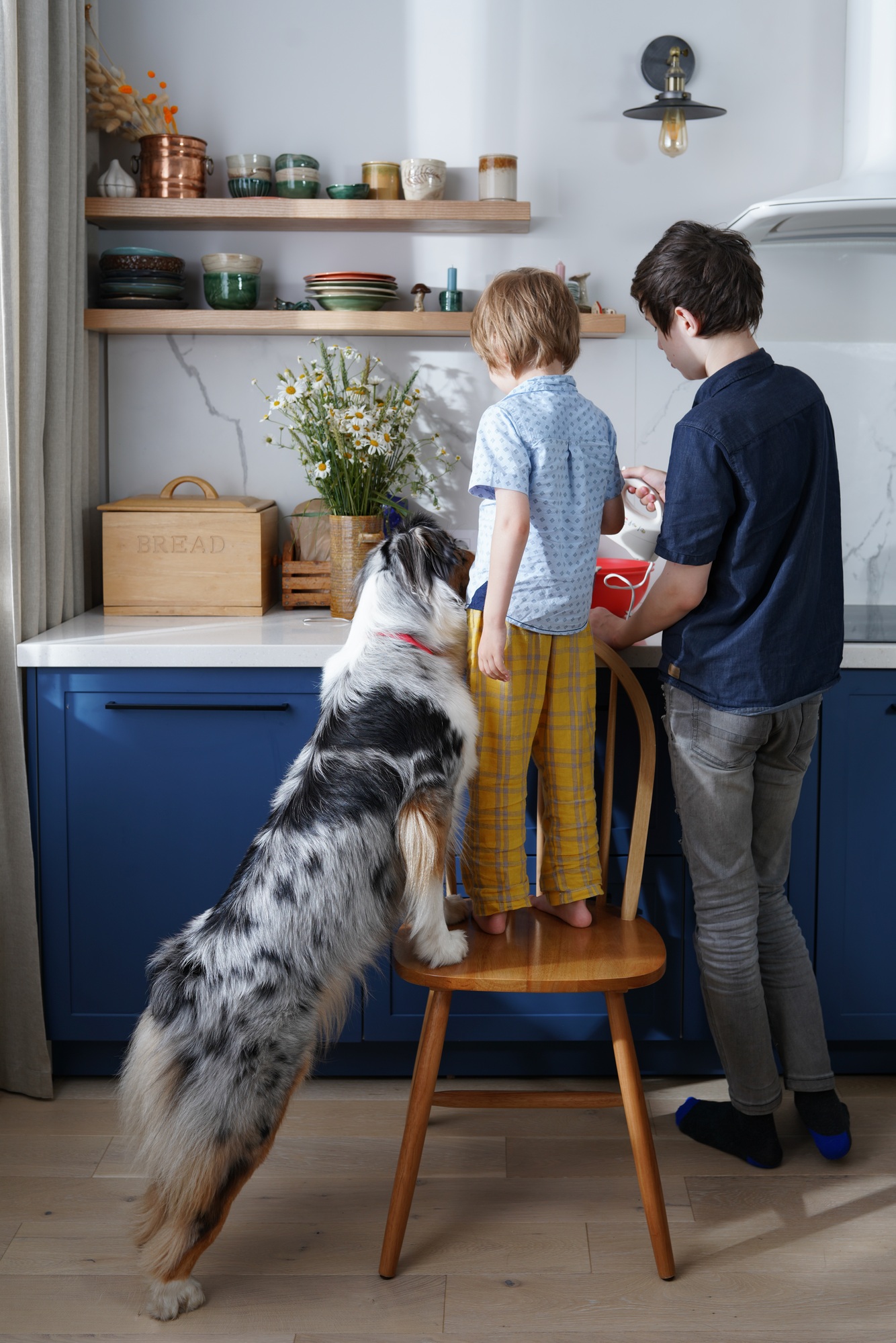 Kids being kids. Two brothers and their curious shepherd dog cooking breakfast together